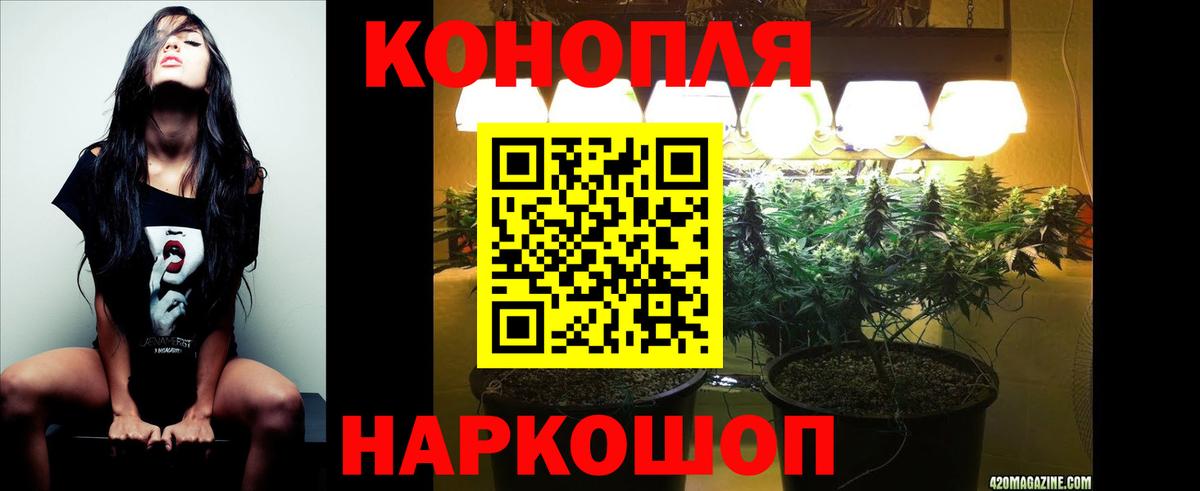 Конопля индика Сибай